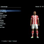 odemwingie